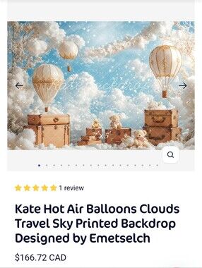 10x8 XL Kate Backdrop - Hot Air Balloon
